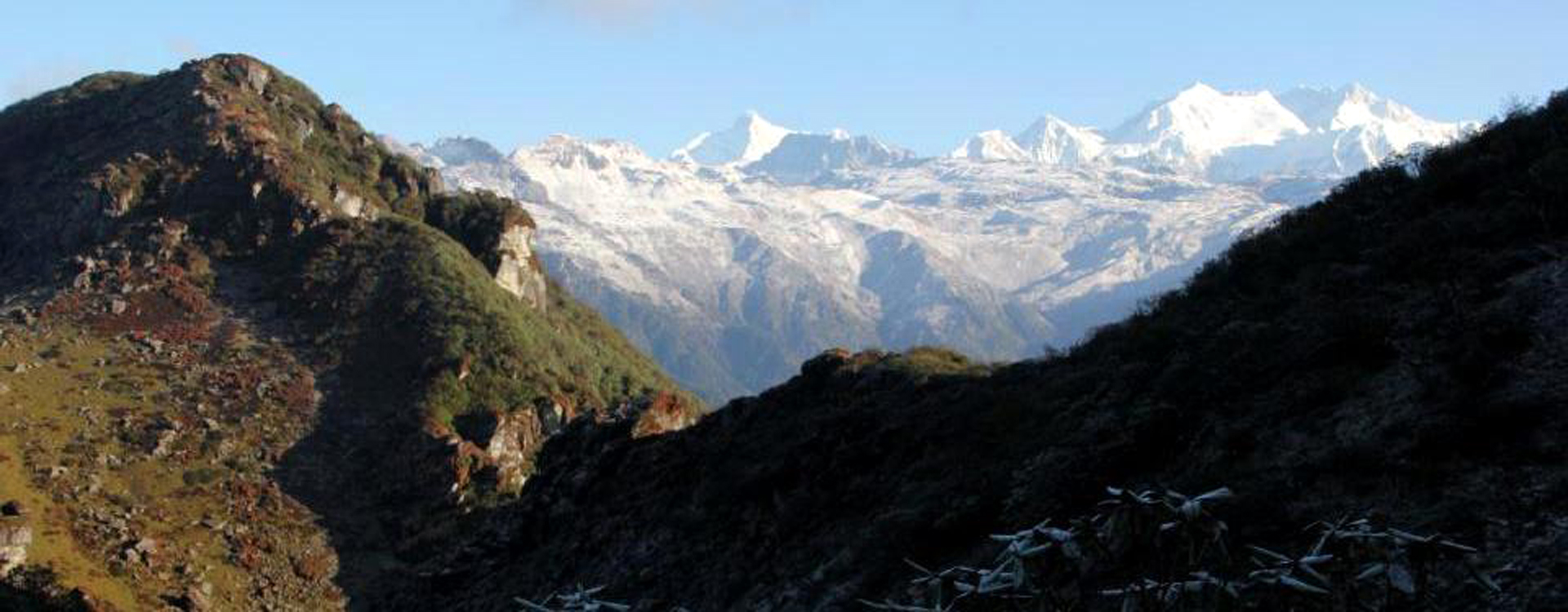 Uttarey Dzongri Round Singalila Trek